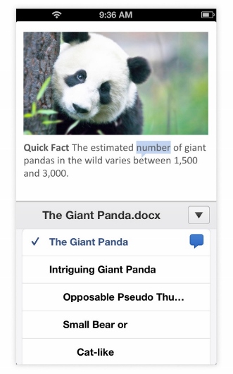 Giant Panda